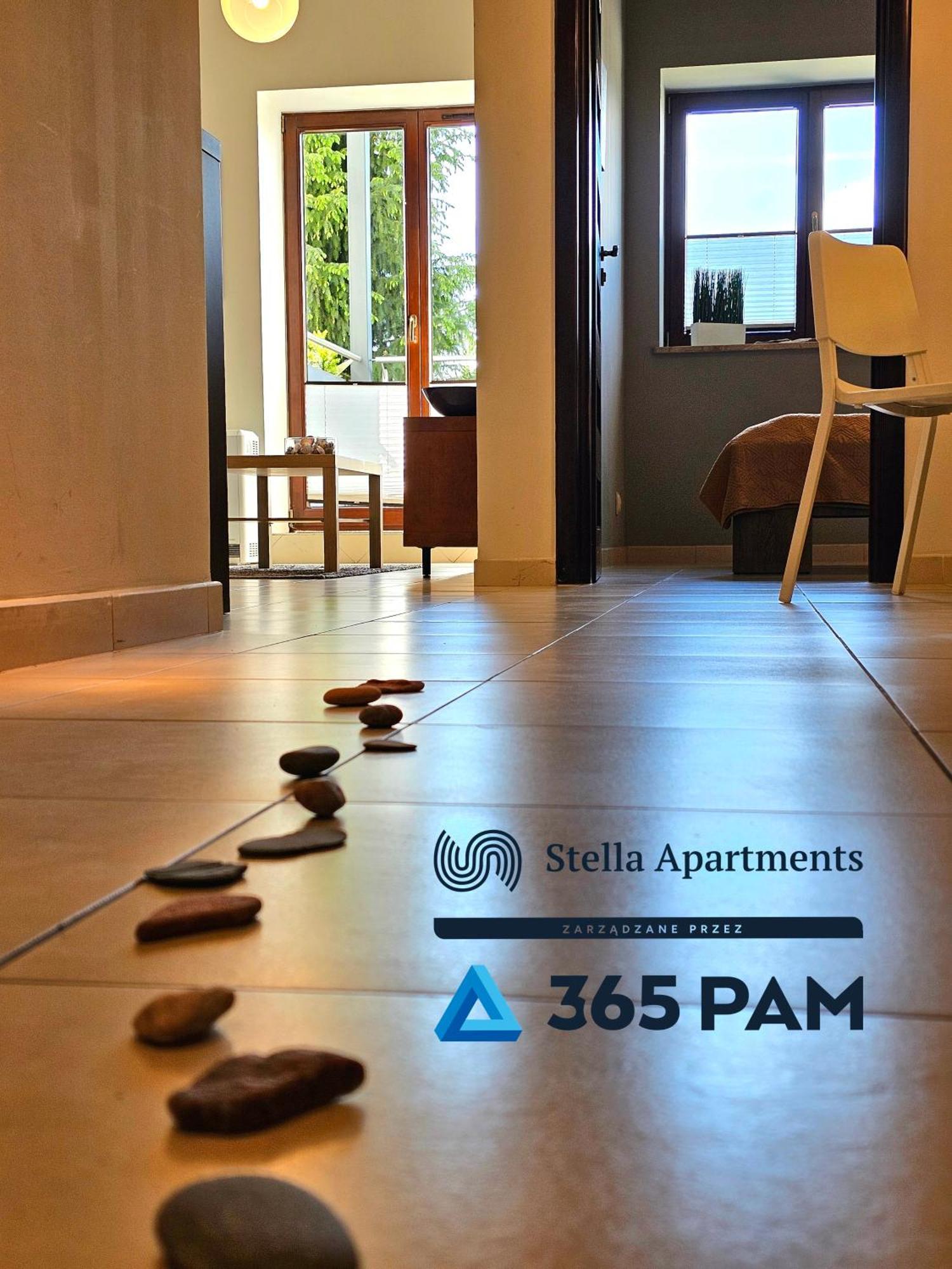Apartament Plazowy - 365Pam サルビノボ エクステリア 写真