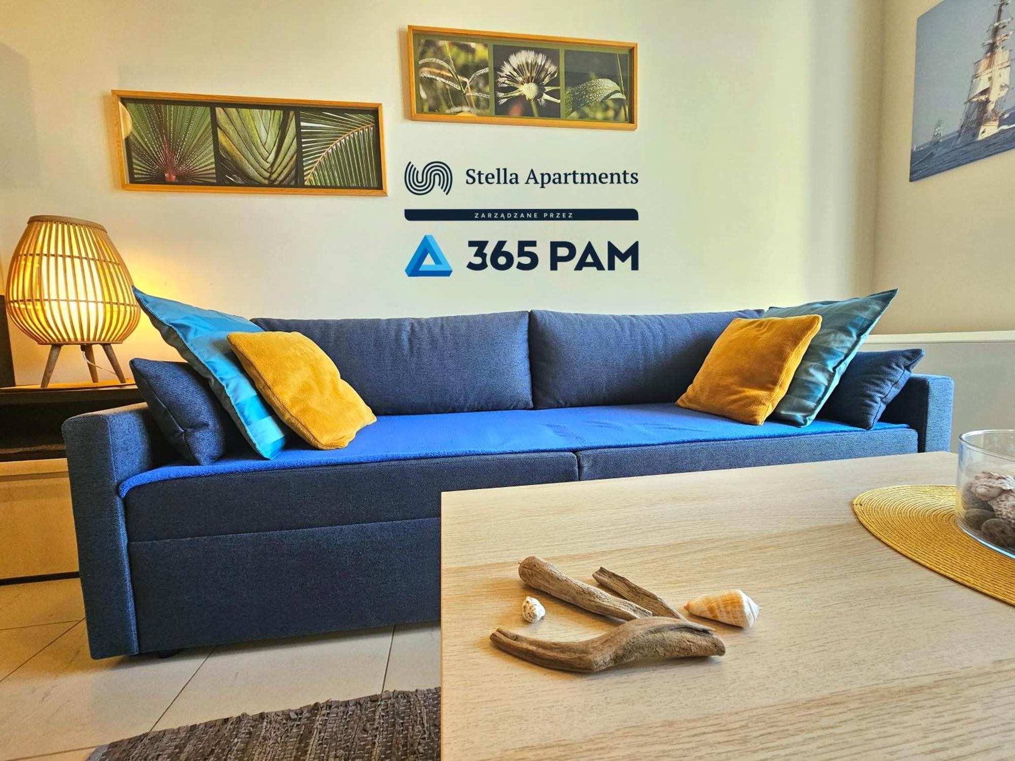 Apartament Plazowy - 365Pam サルビノボ エクステリア 写真